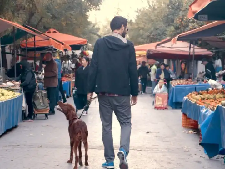 Athens: The Monocle Travel Guide