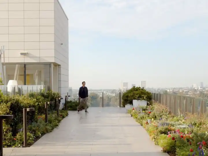 A different view with David Alhadeff